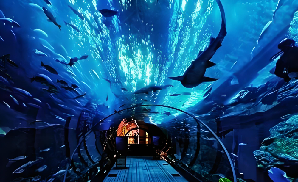 開封東京極地海洋館臭氧維生項目